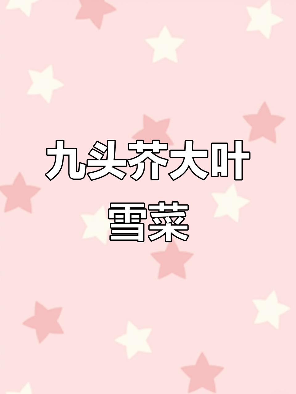 大叶雪菜冬季美味,鲜嫩脆口,种植简单又耐寒