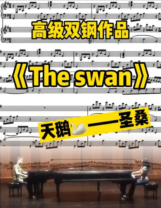 绝美双钢作品//圣桑的天鹅