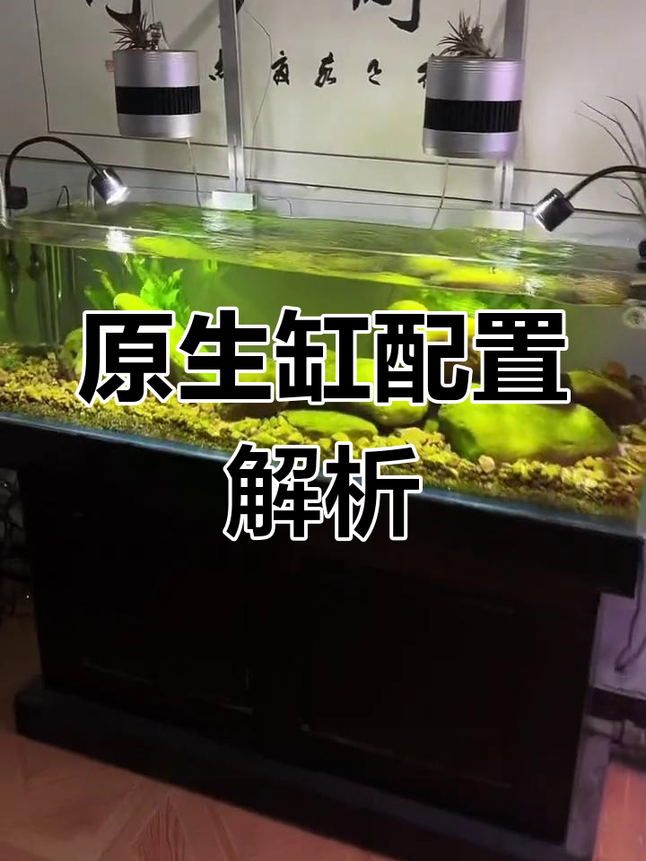 松宝过滤桶使用体验