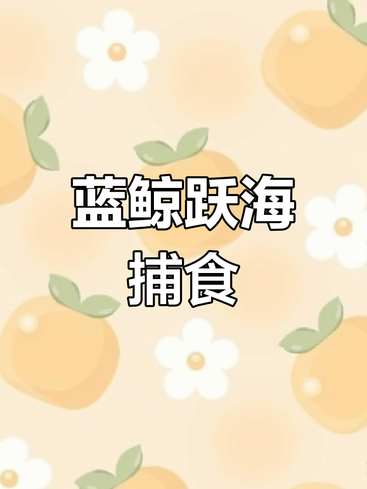 蓝鲸跃出海面捕食,身陷磷虾群与虎鲸围猎