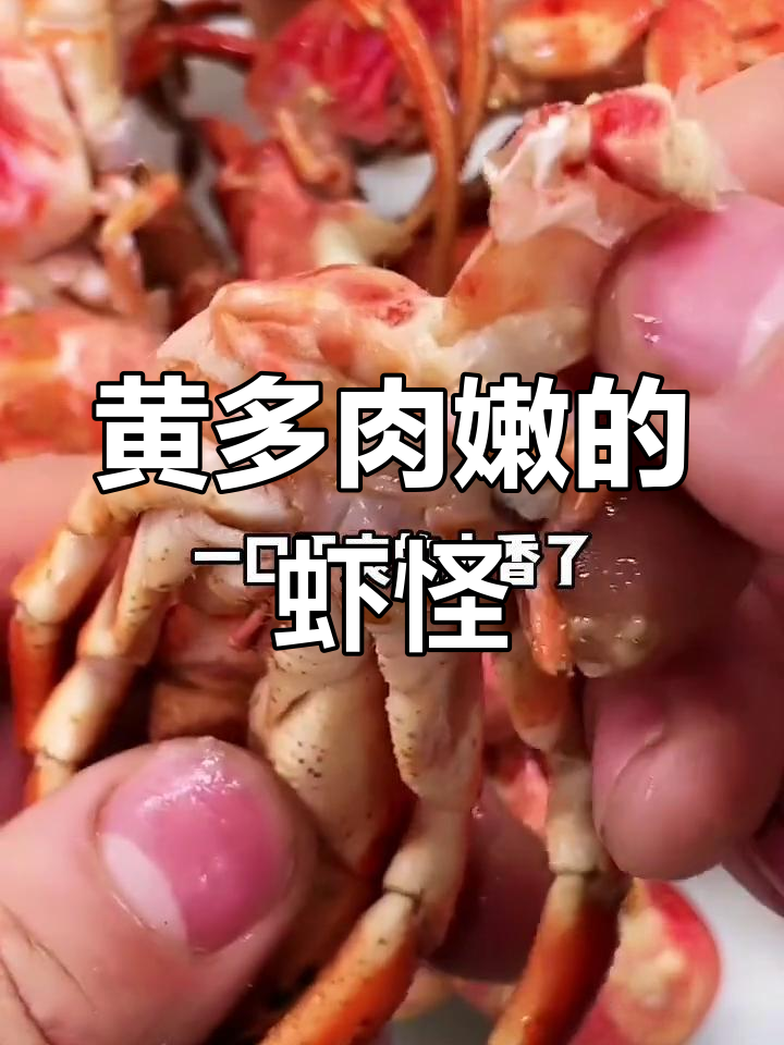 虾怪寄居蟹,黄满肚子鲜美至极