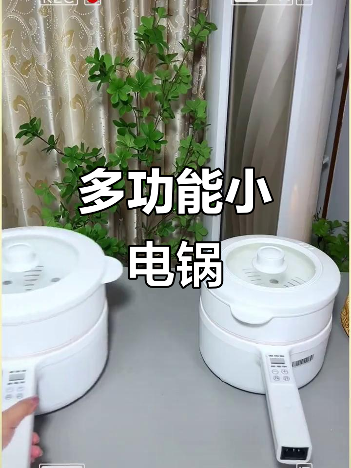 小巧多功能电煮锅,煎炸蒸煮都能行,价格超实惠