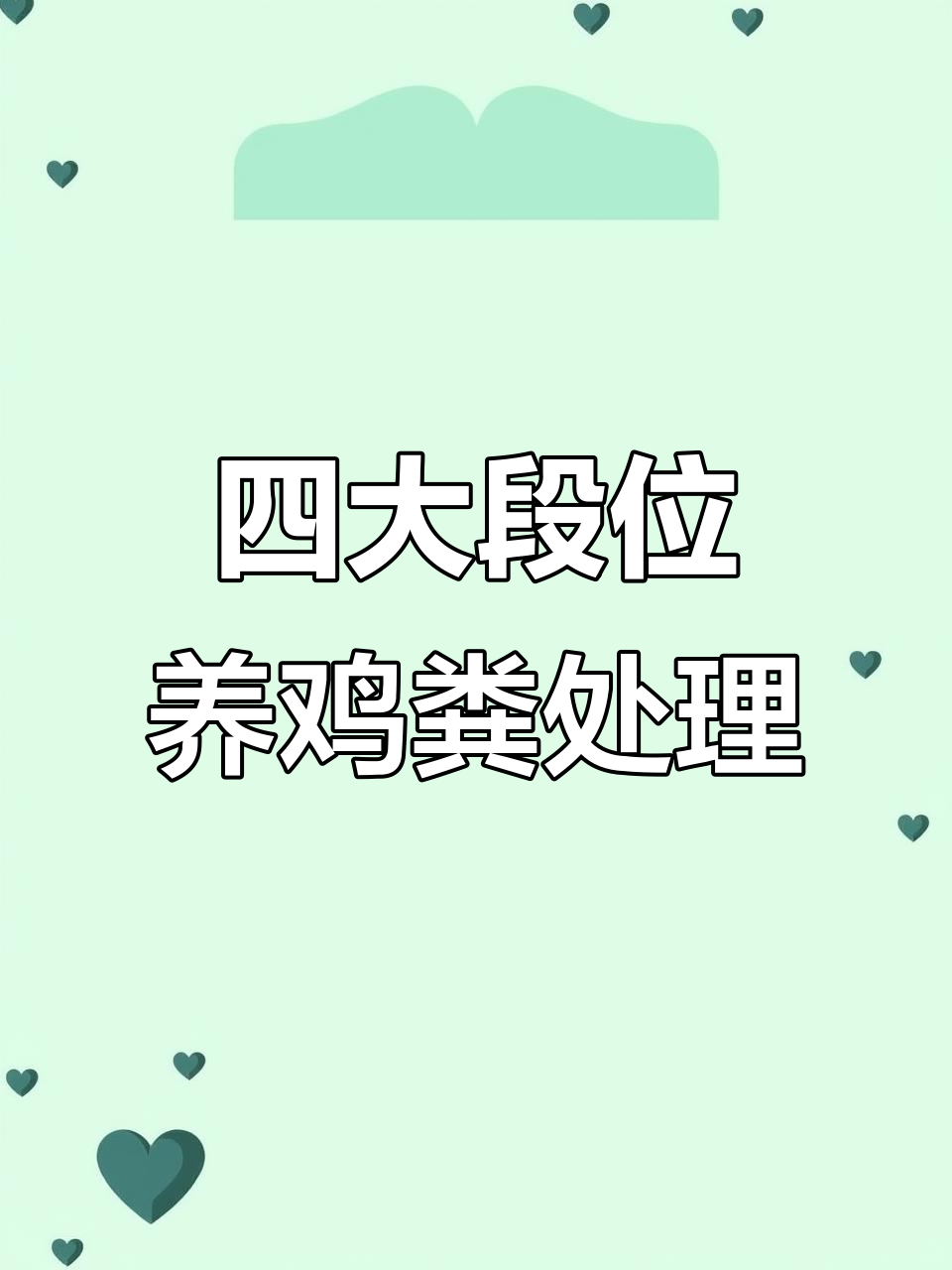 养鸡场鸡粪处理全攻略：从入门到高级技巧