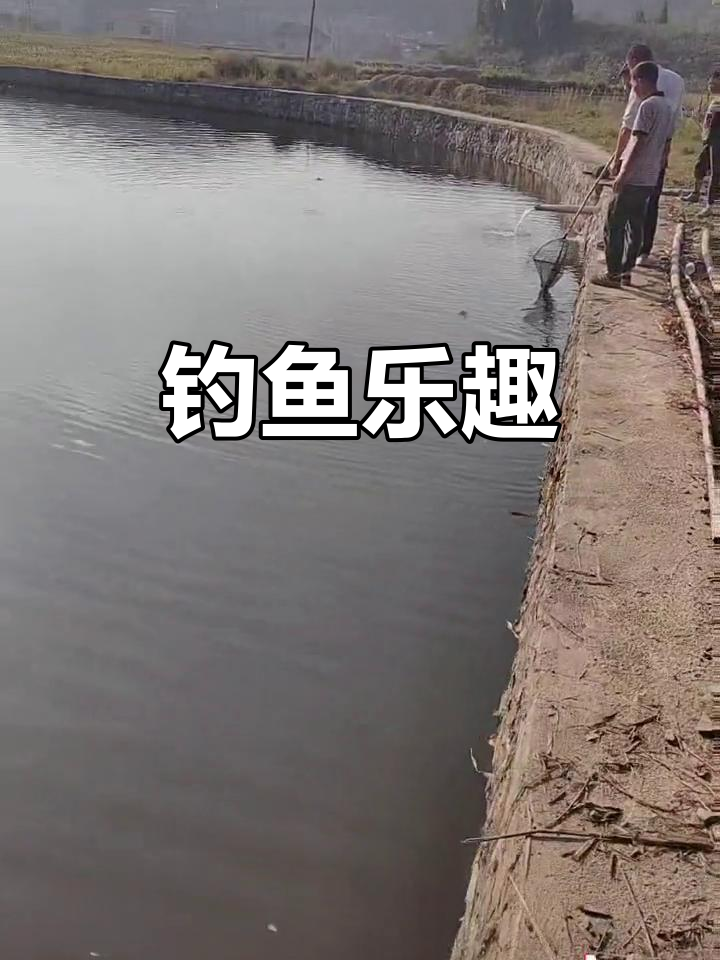 钓鱼的喜悦,四条乌草鱼收获满满!