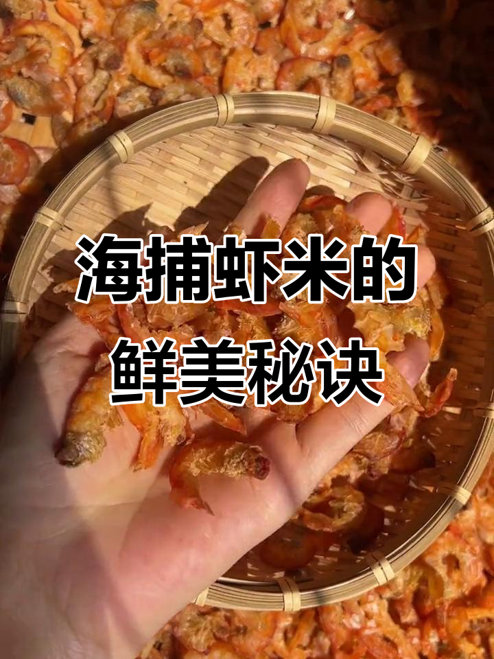 野生虾米，泡十分钟炒菜蒸蛋鲜美十足，煲汤提味更佳