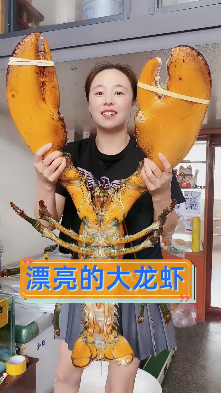漂亮的大龙虾