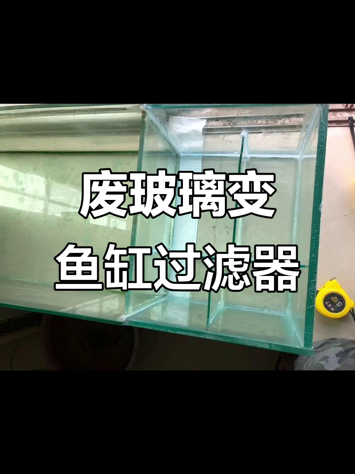利用废玻璃DIY鱼缸过滤系统，轻松改造侧滤提升效率