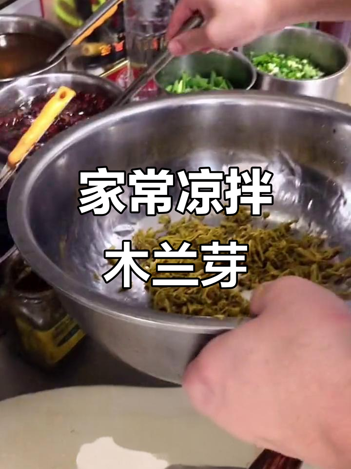 简单又营养的凉拌木兰芽,家常美味不容错过