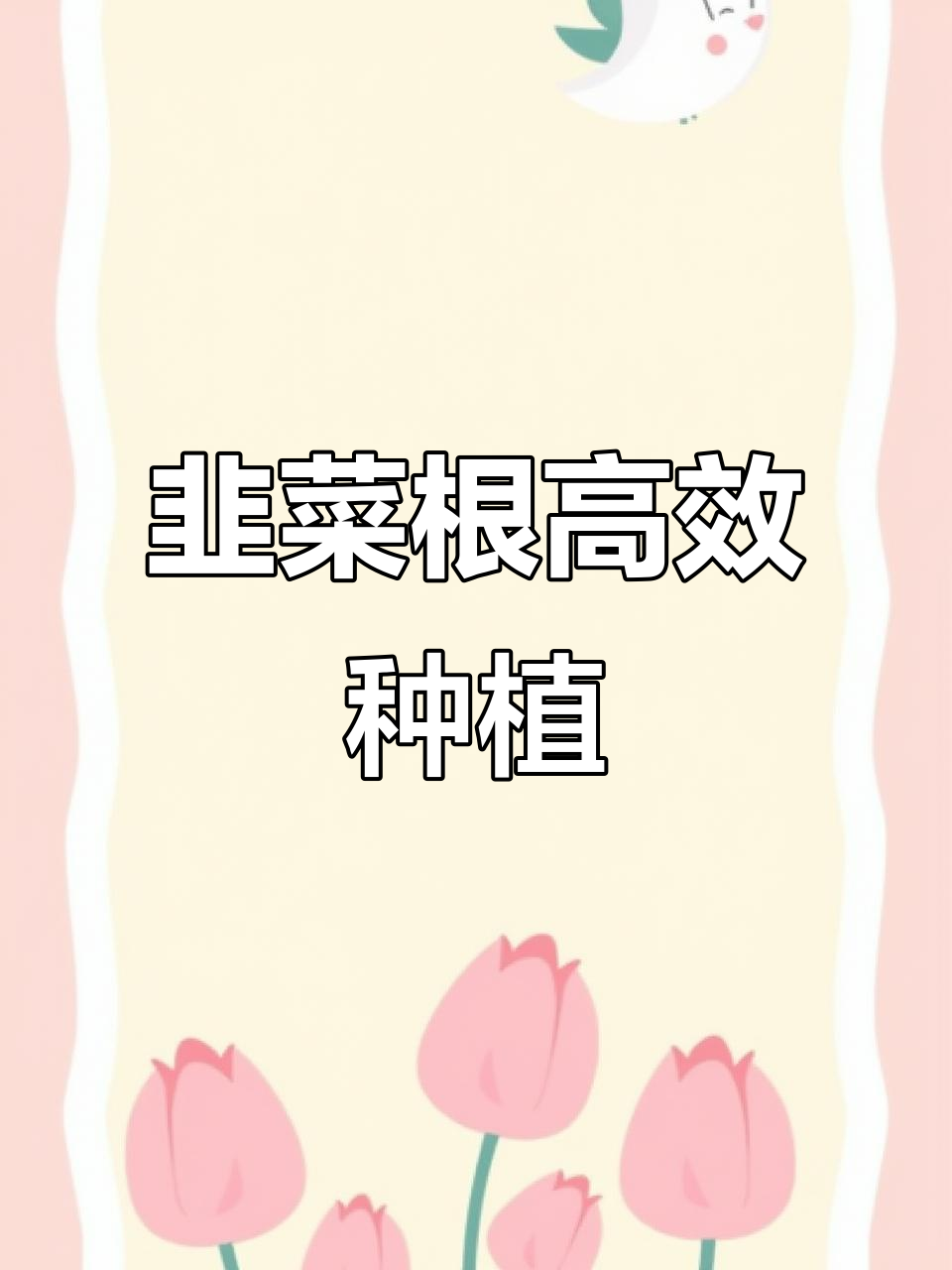 韭菜根种植简单,快速收获多茬,轻松栽培!