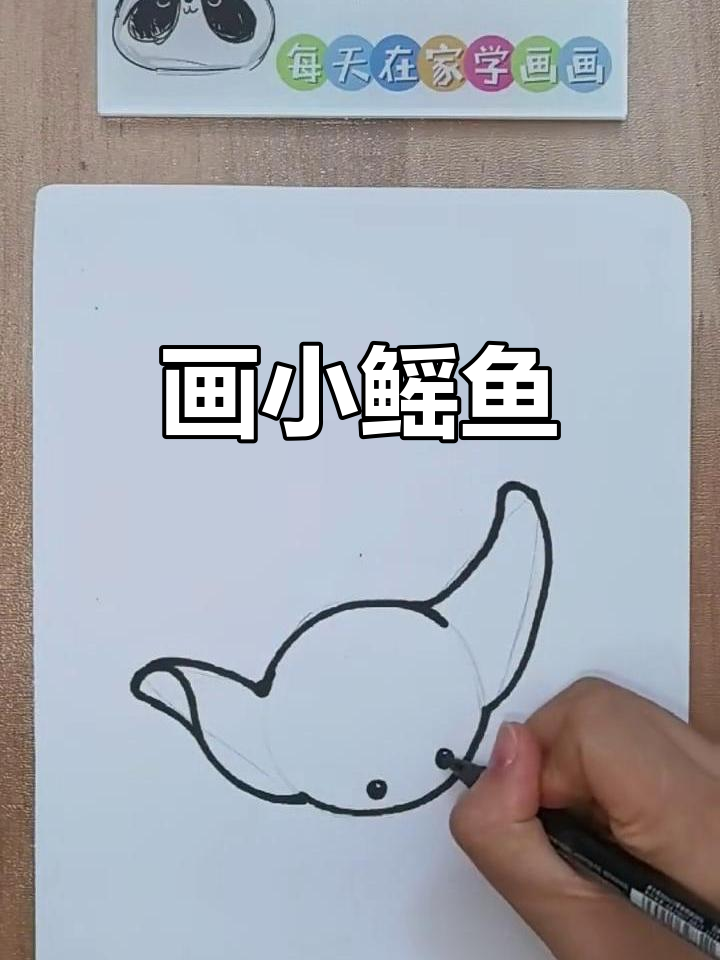 小鱿鱼简笔画,轻松学会!