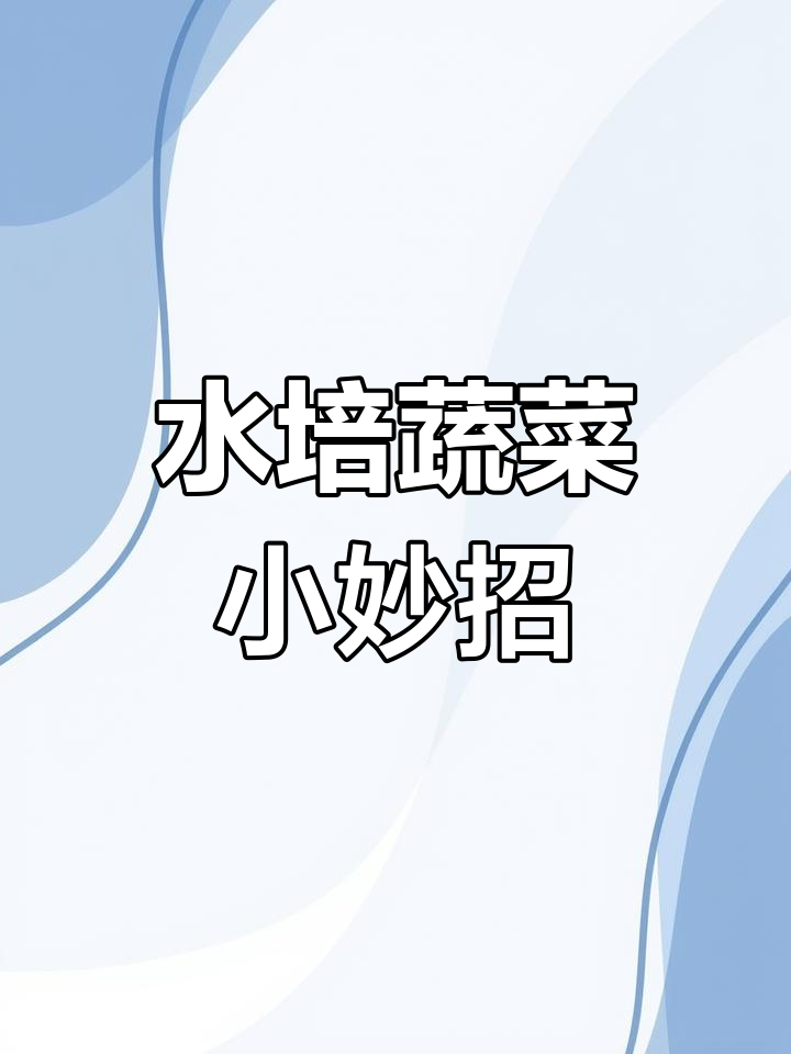 住楼房也能种菜,生菜根水培法让你一茬接一茬