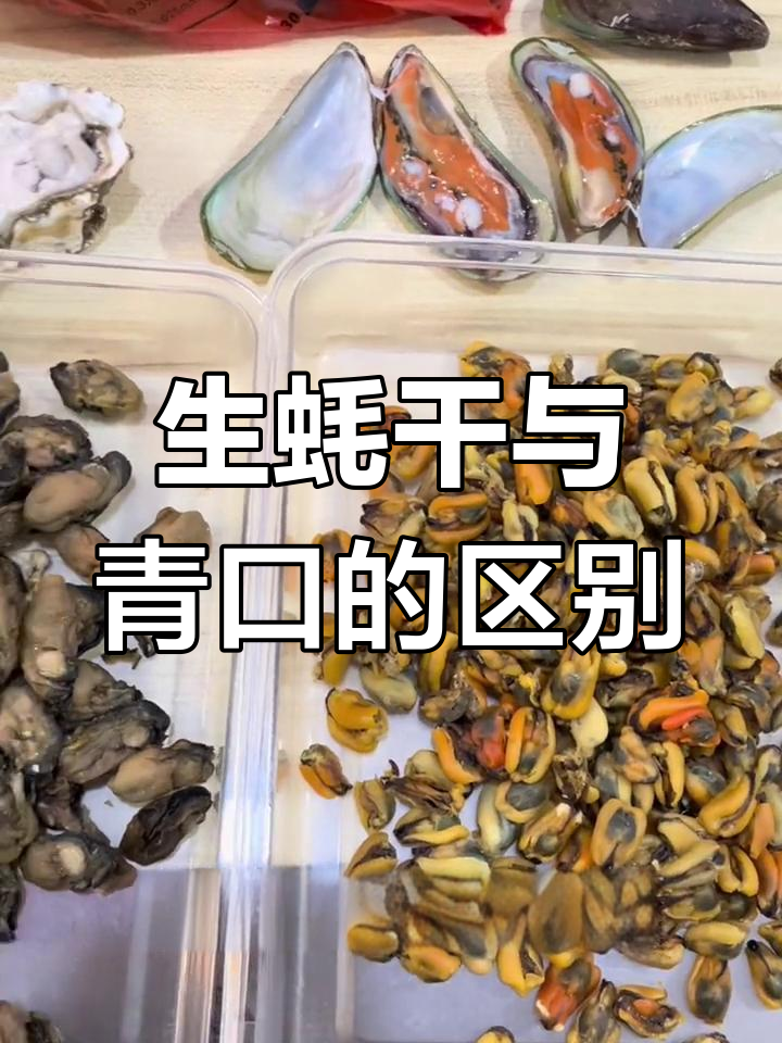 淡菜与蚝豉的区别解析