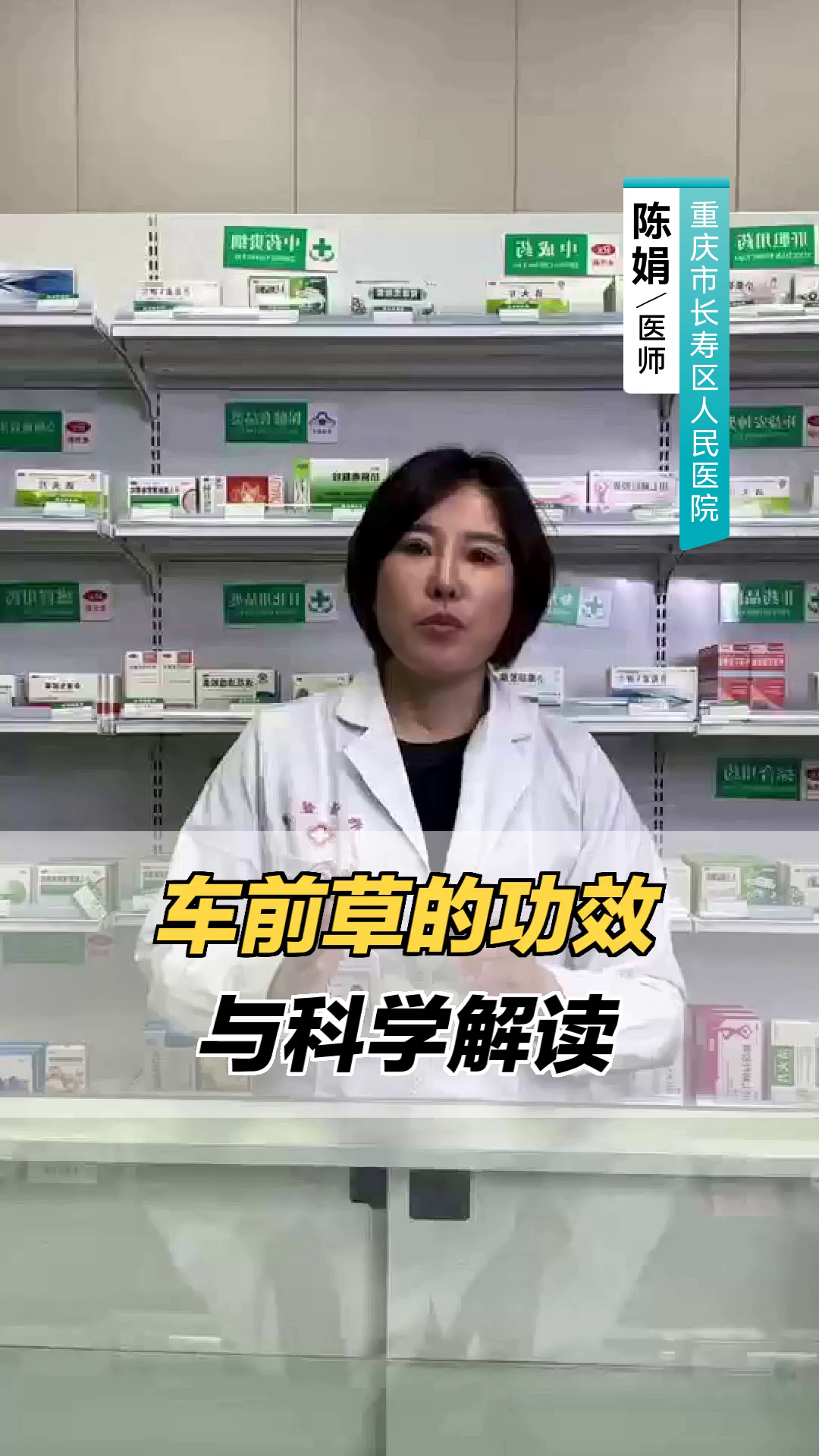 车前草的功效与科学解读