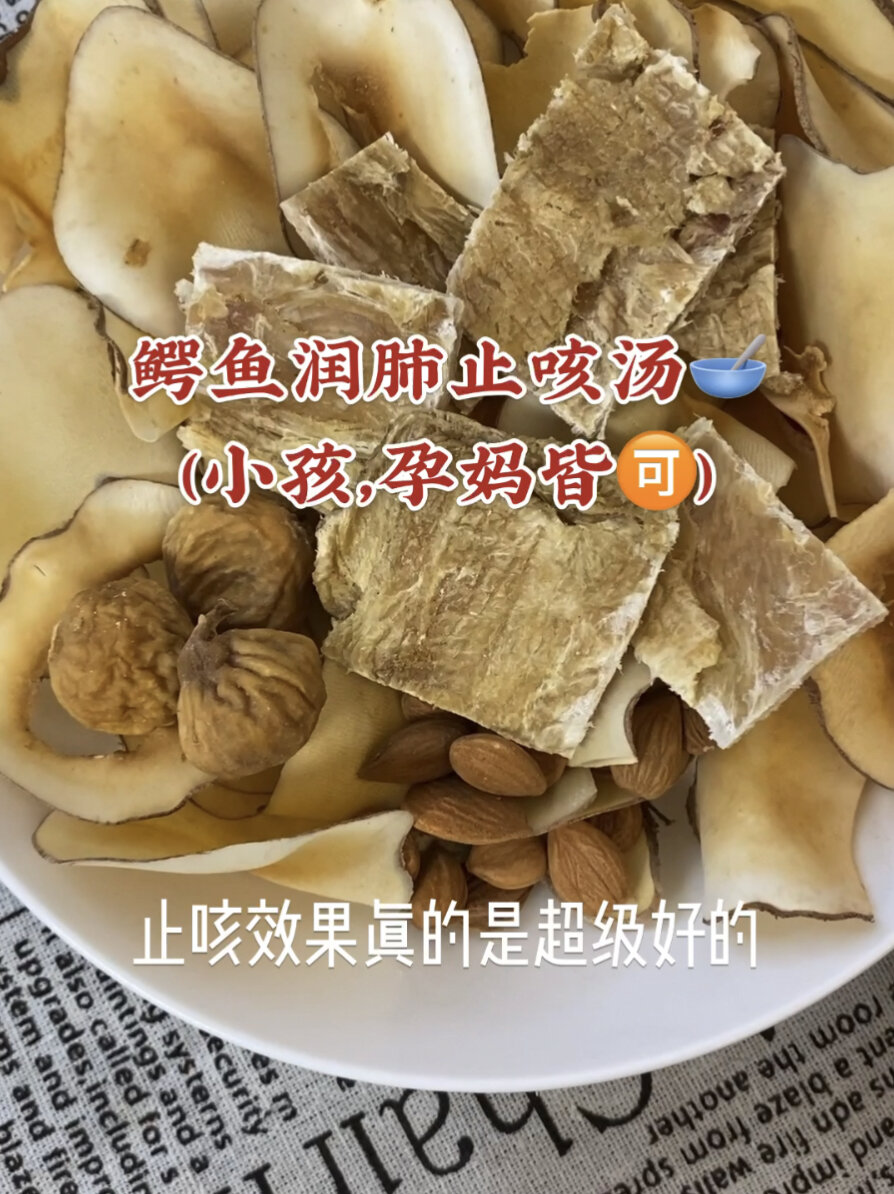 小儿鳄鱼肉润肺止咳汤包