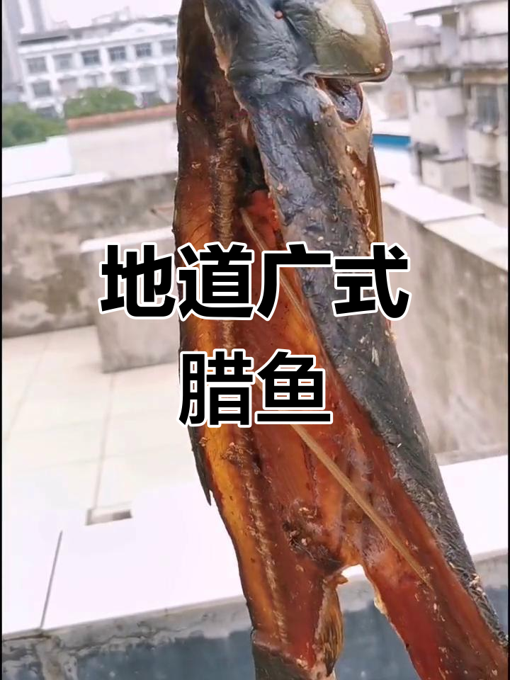 顺德正宗腊鱼,香气扑鼻,五味交融,回味无穷