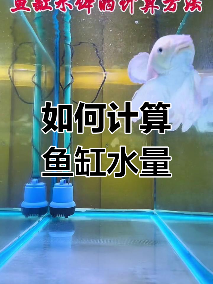 鱼缸水体计算全攻略,方形、圆柱形都能算!