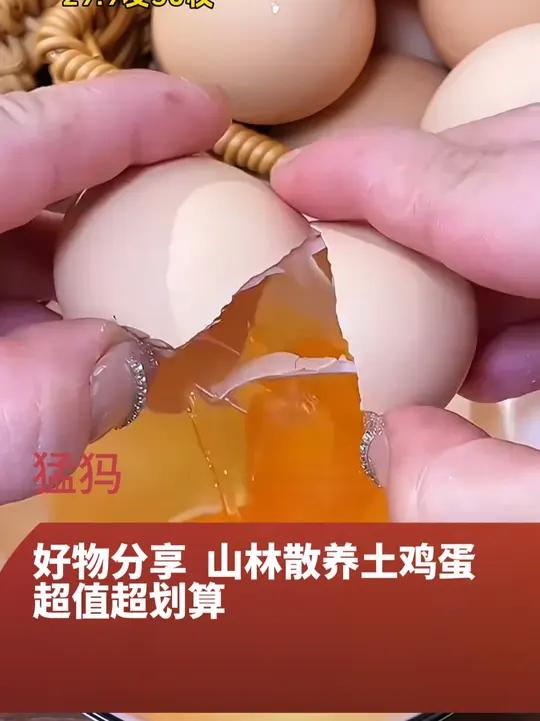「新品50枚」山林散养土鸡蛋新鲜鸡蛋
