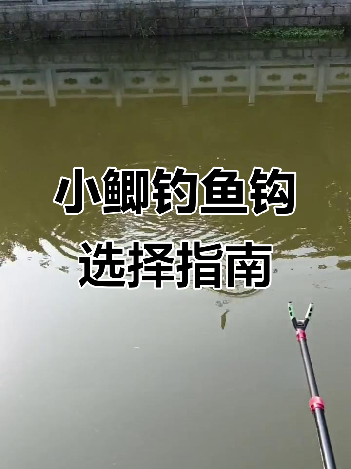 钓小鲫鱼选哪种钩?金绣鱼钩全解析