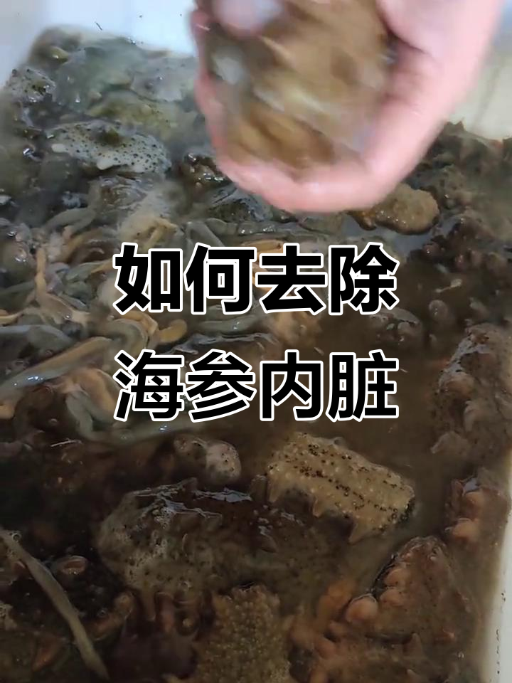 海参去内脏技巧大揭秘,轻松搞定!