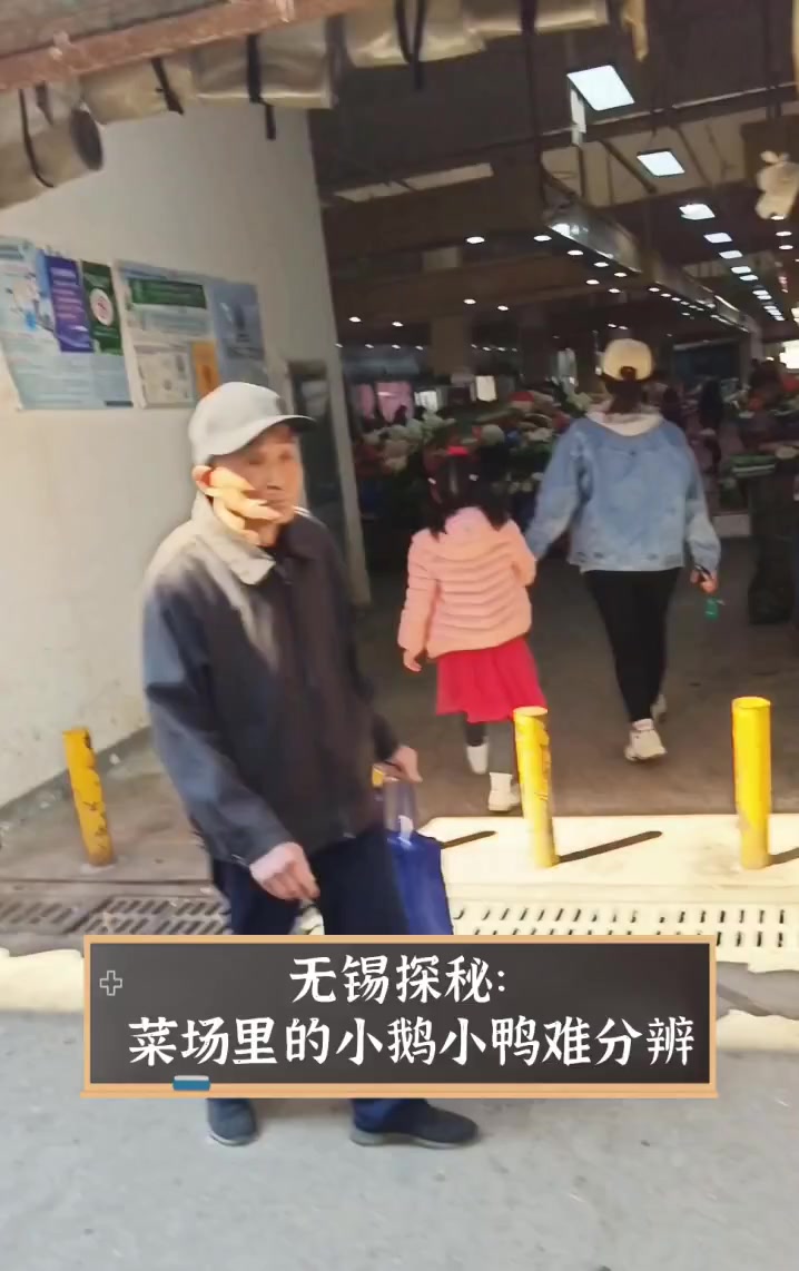 无锡探秘:菜场里的小鹅小鸭难分辨