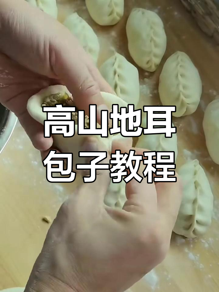 雪天必备!教你做高山地耳牛肉包子,简单又美味