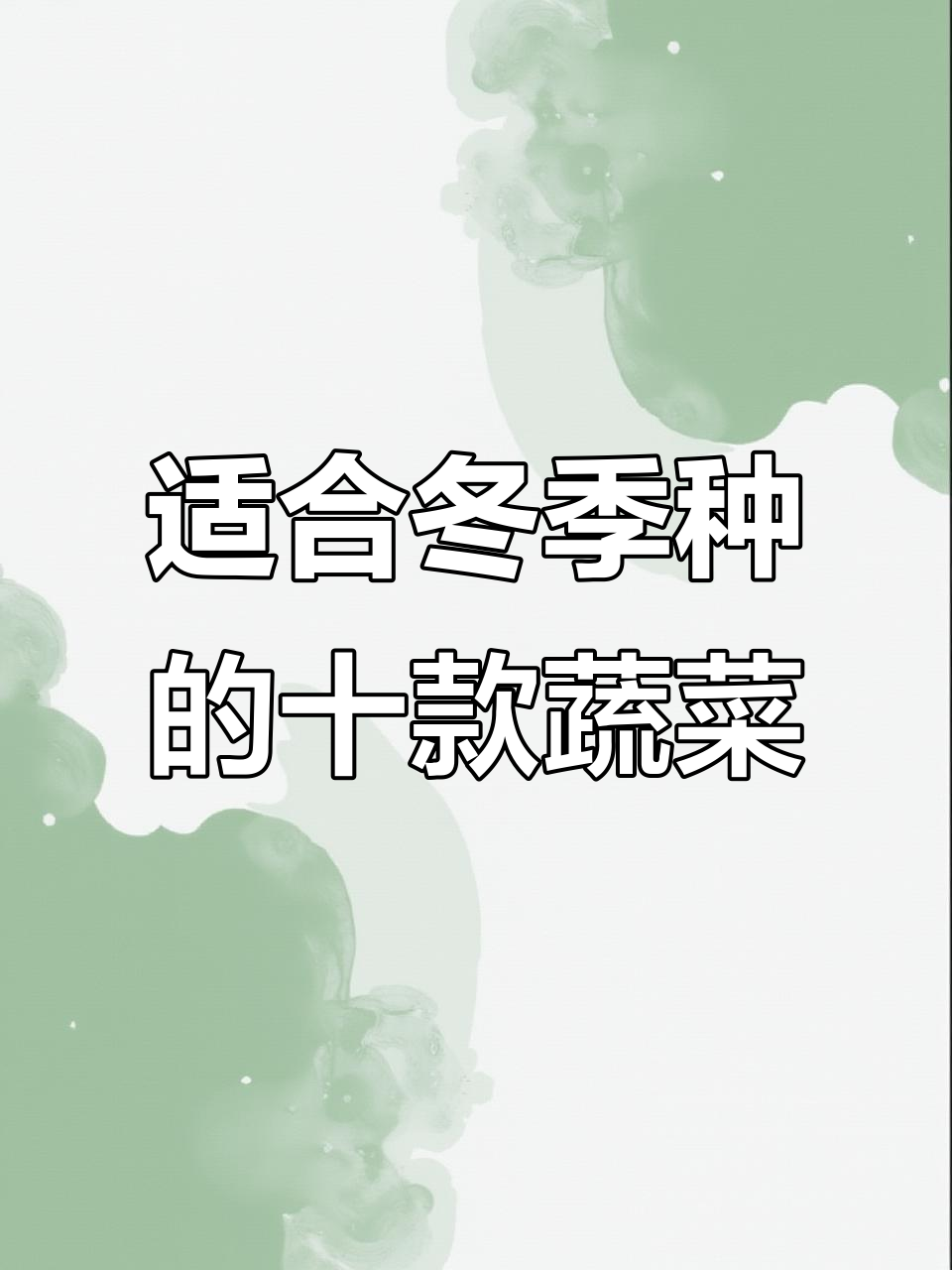 11月种这些蔬菜,寒冬腊月照样有新鲜菜吃