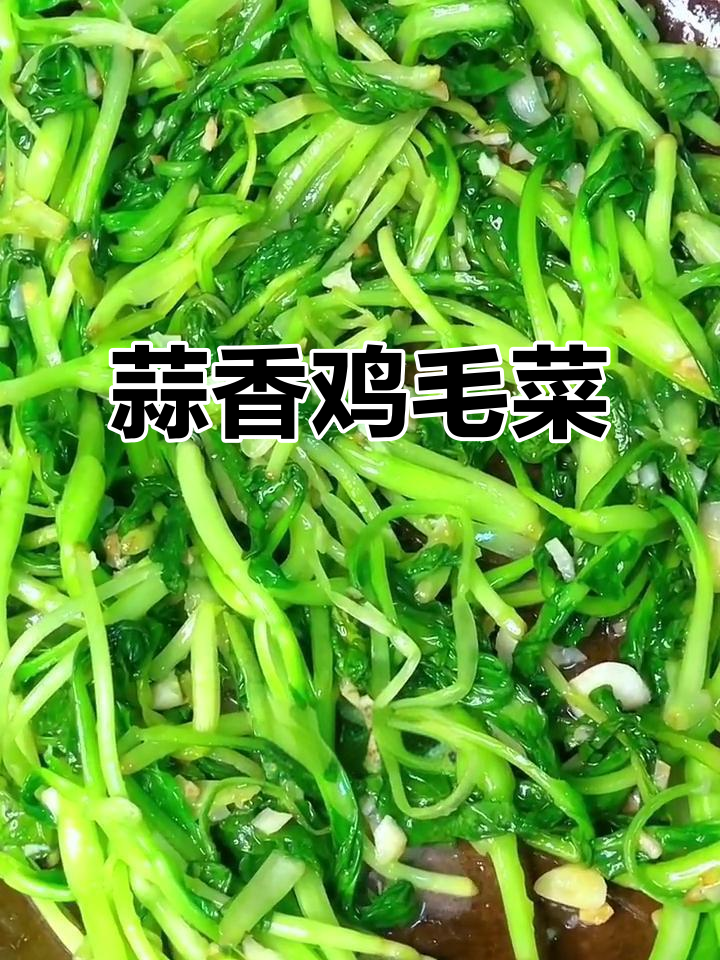 鸡毛菜炒大蒜,香气扑鼻,试试新做法!