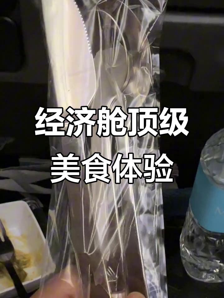 新加坡航空经济舱天花板,餐食大揭秘!