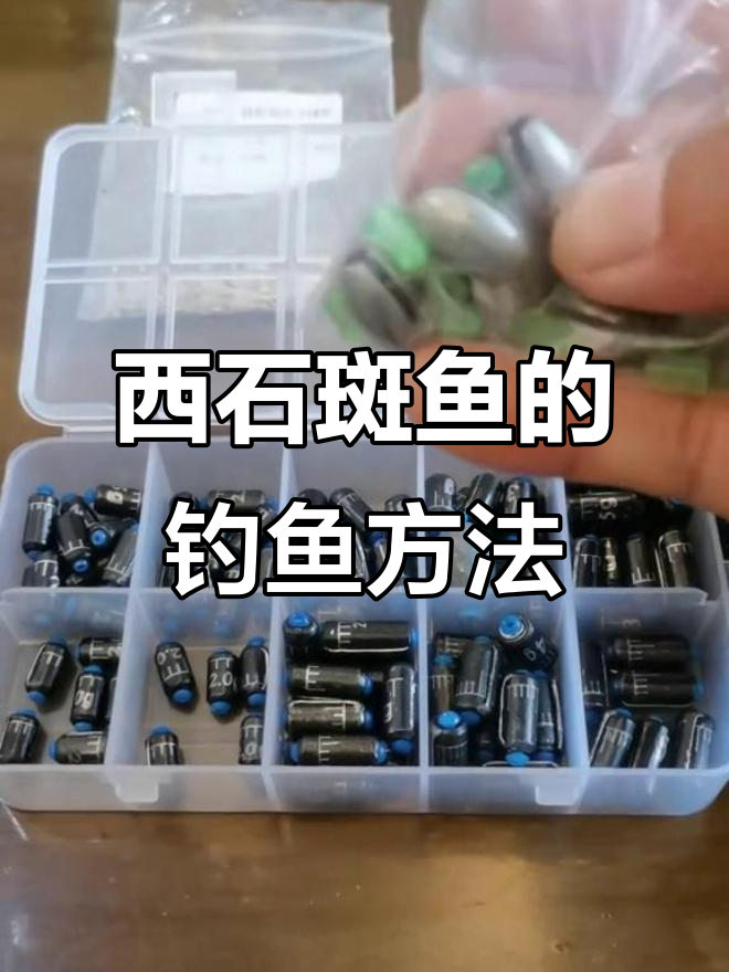 溪流钓必备技巧,如何轻松捕捉西石斑鱼