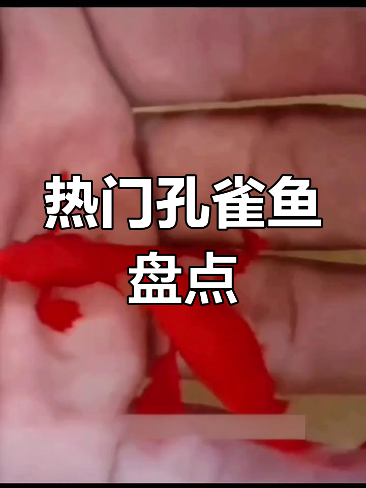 2021年最火孔雀鱼品种大揭秘,网红黄金玻璃断带来袭