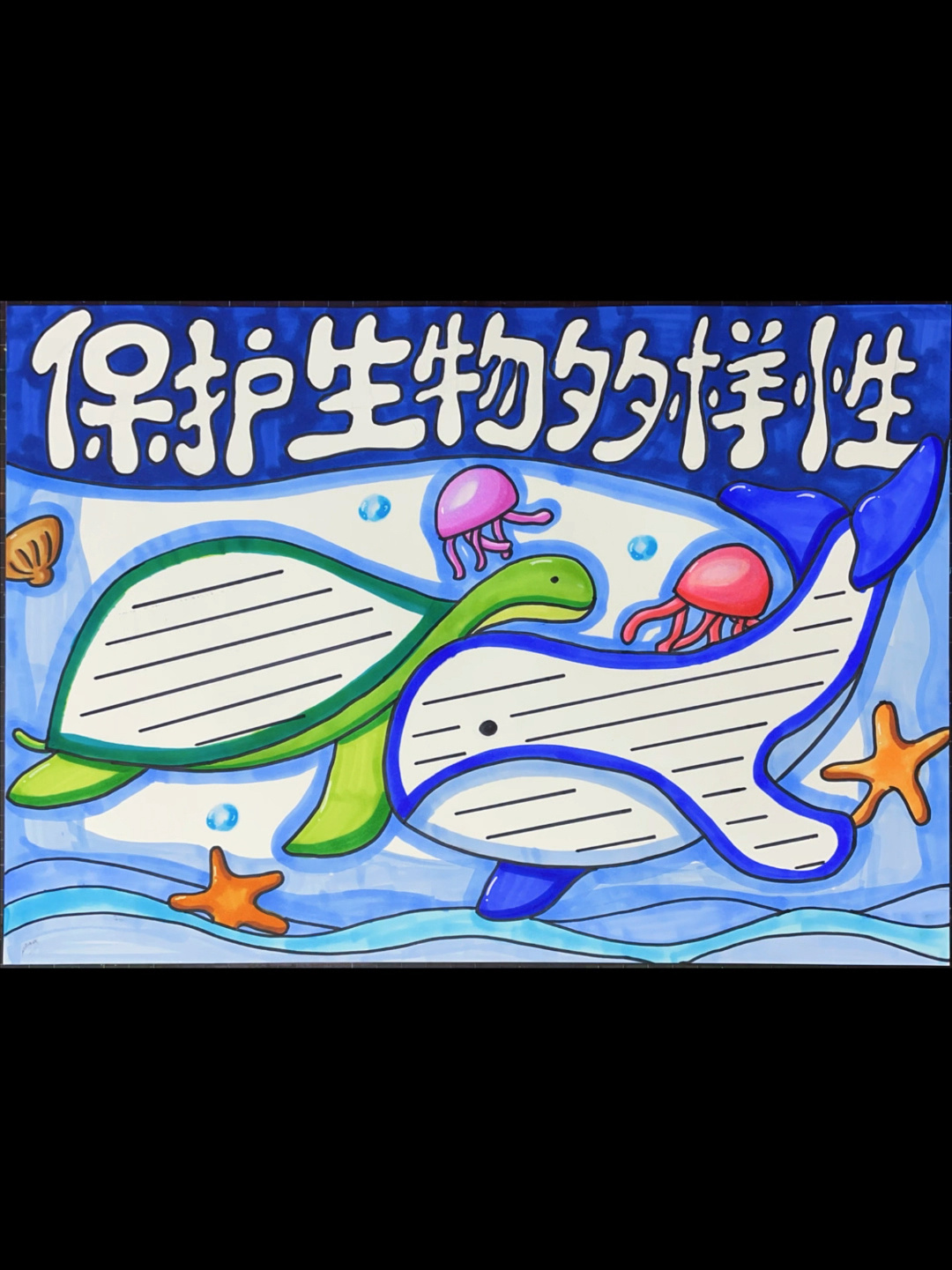 保护海洋多样性手抄报