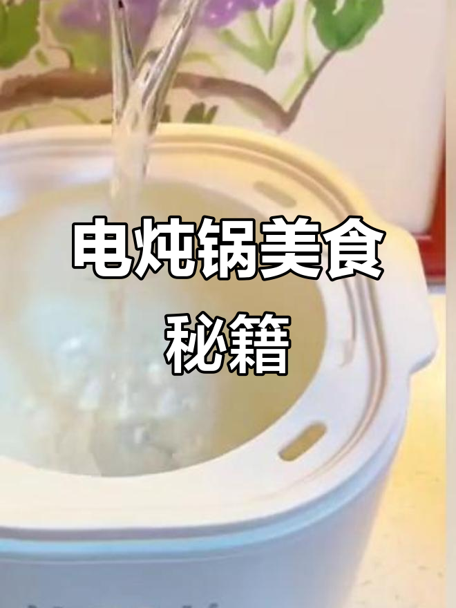 电炖锅食谱,八宝粥、隔水炖做法全解析