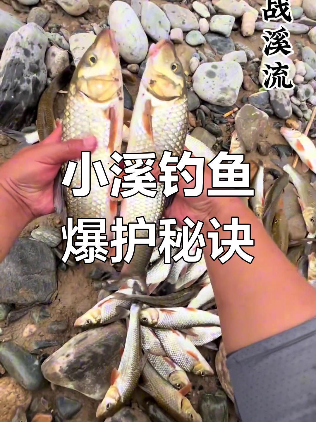 溪流钓小卡拉米,重唇鱼技巧大揭秘