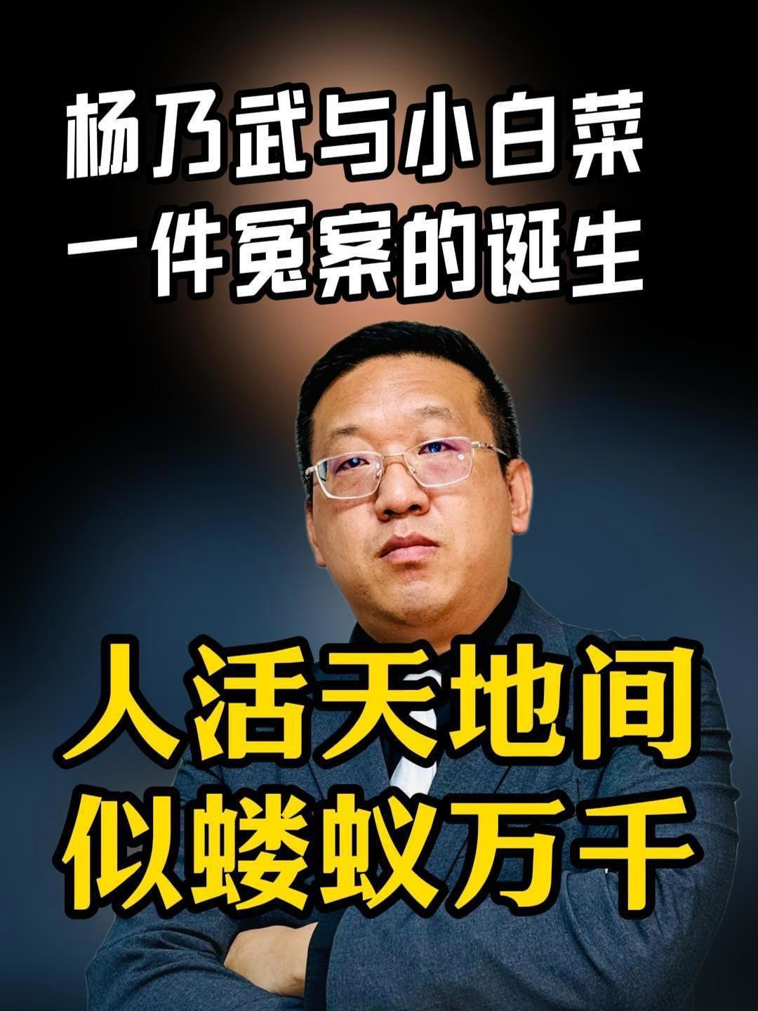 一口气看完杨乃武与小白菜冤案,就明白人活天地间似蝼蚁万千 一口气看完系列 清朝历史 杨乃武