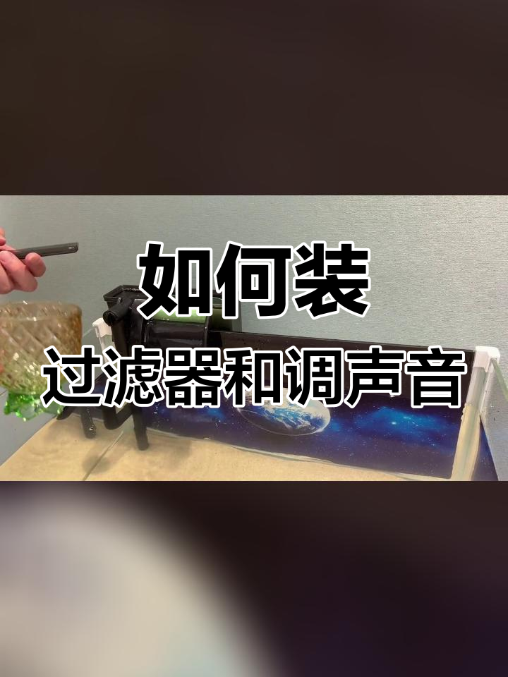 鱼缸过滤器安装与调节技巧,解决气泡噪音问题