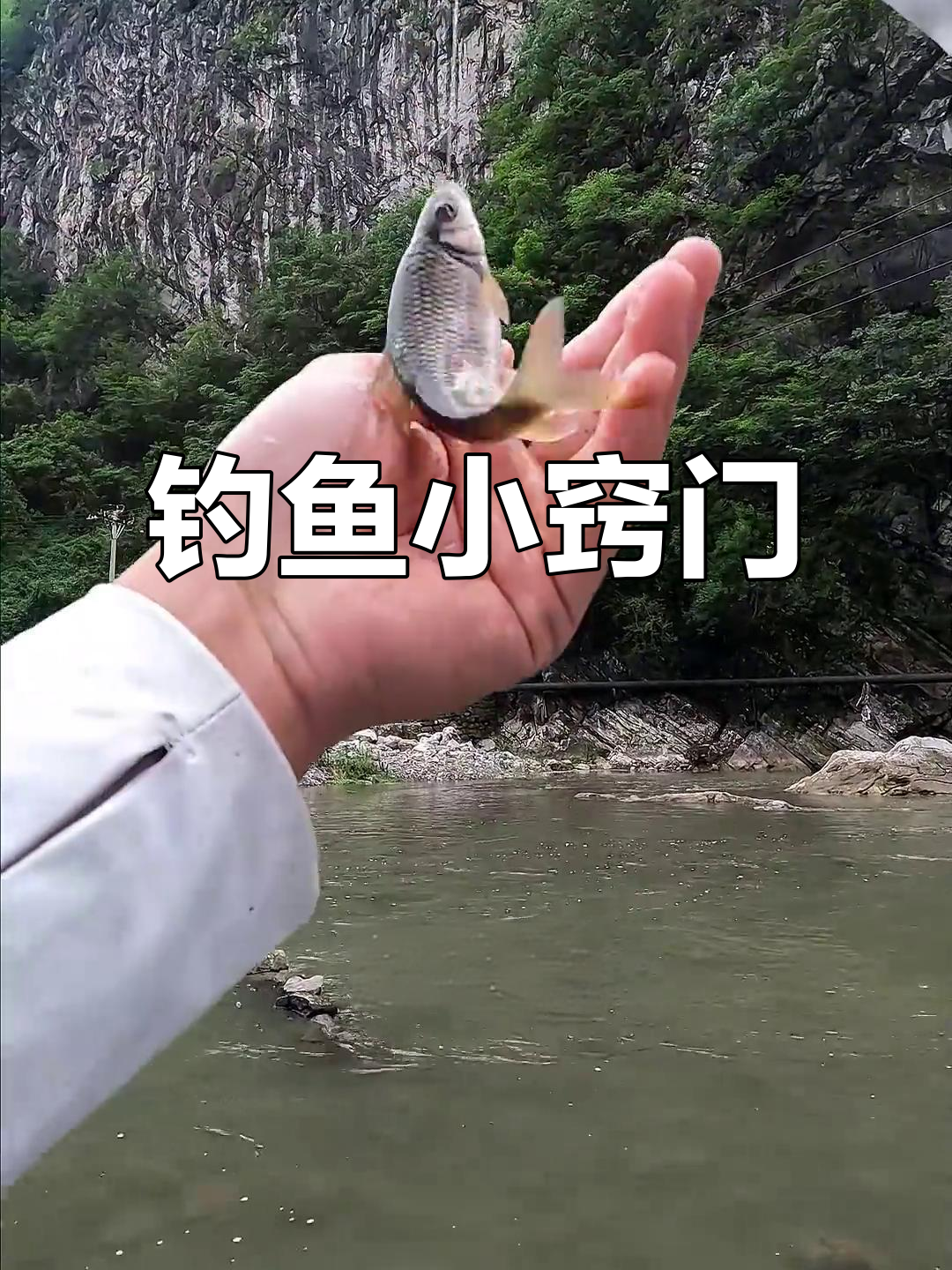 溪流钓石斑鱼技巧：从打窝到发口，全攻略