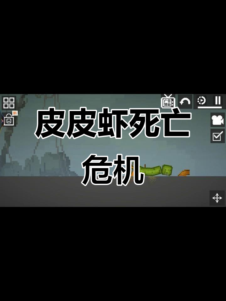 皮皮虾吃玉米南瓜,结果竟然死了!赶紧抢救一下