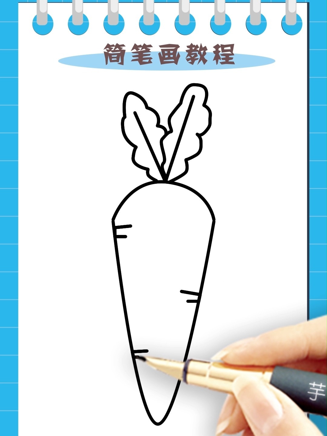 萝卜简笔画教程