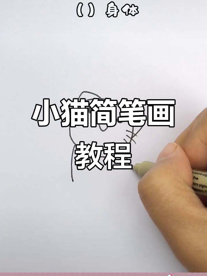 一起动手画可爱抓鱼小猫，简单又好玩！