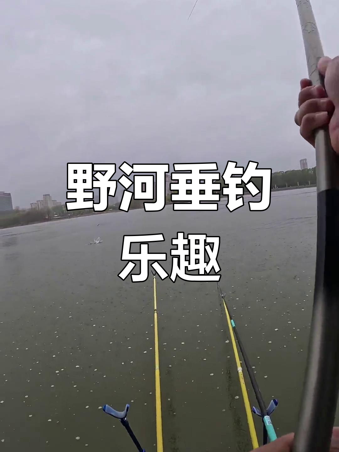内甲河钓鱼探钓鲤鱼,渔获满满