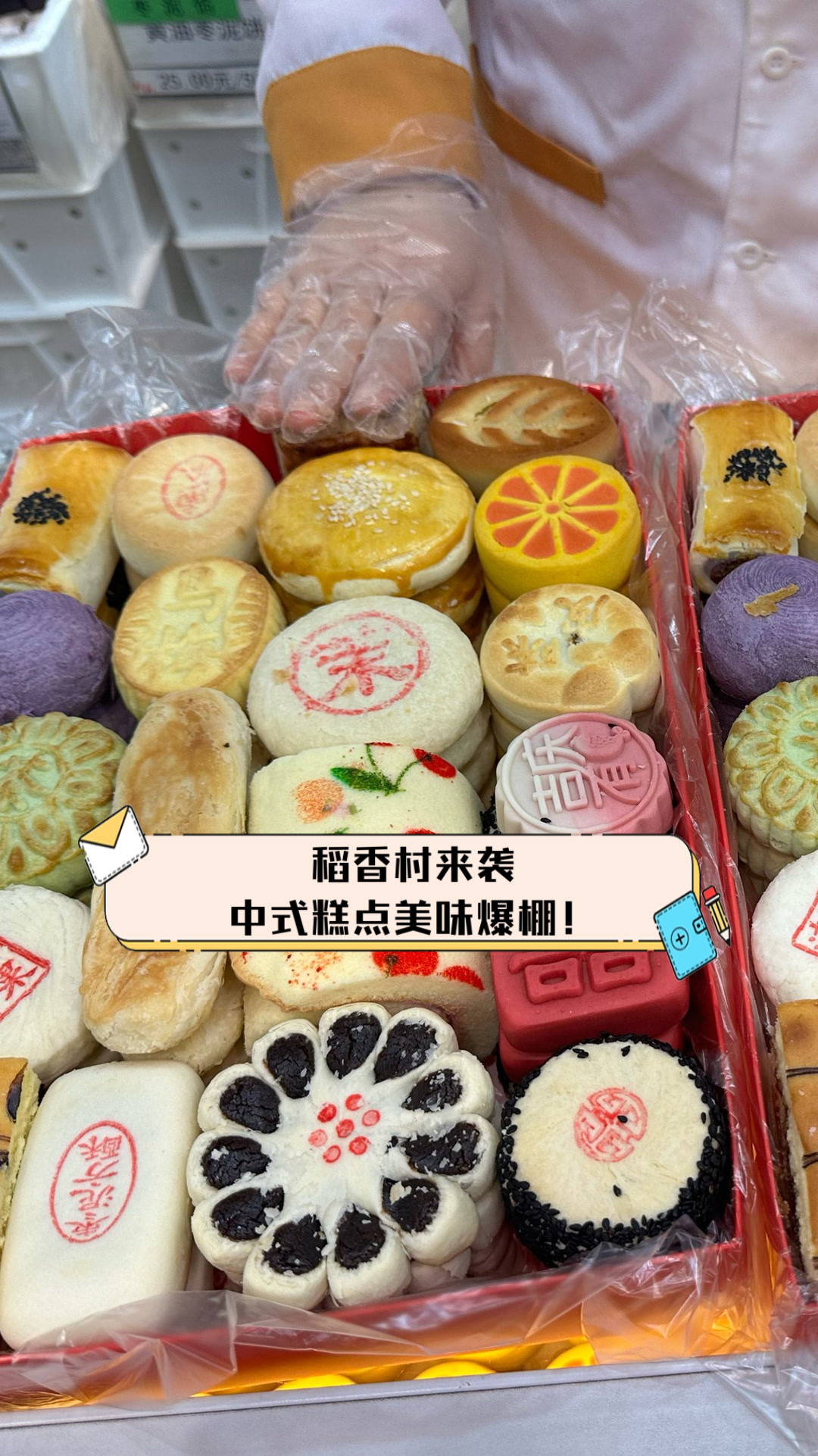 稻香村来袭,中式糕点美味爆棚!