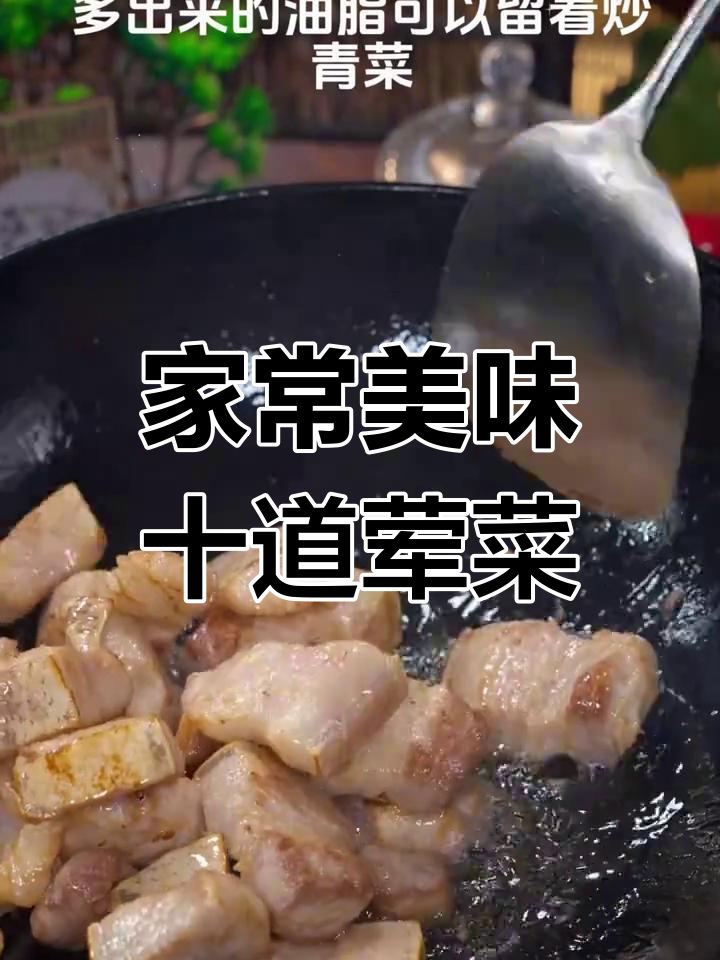 十道家常荤菜,做法超简单,最后一道价值百万