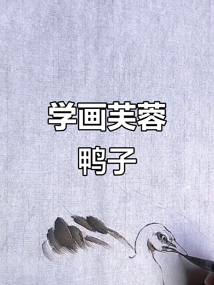 裴振武老师教你画芙蓉鸭子,轻松掌握写意花鸟技巧