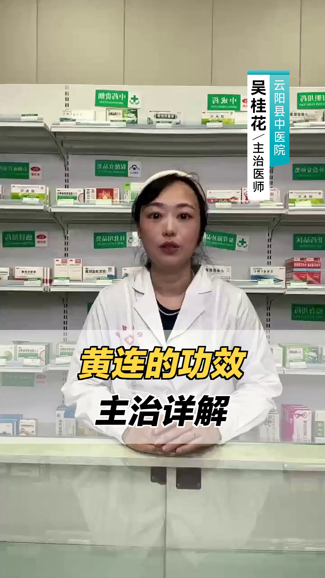 黄连的功效与主治详解