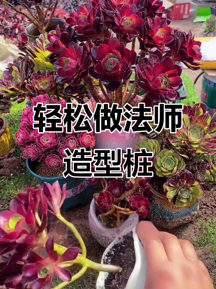 法师造型桩制作技巧,简单两步打造完美S弯