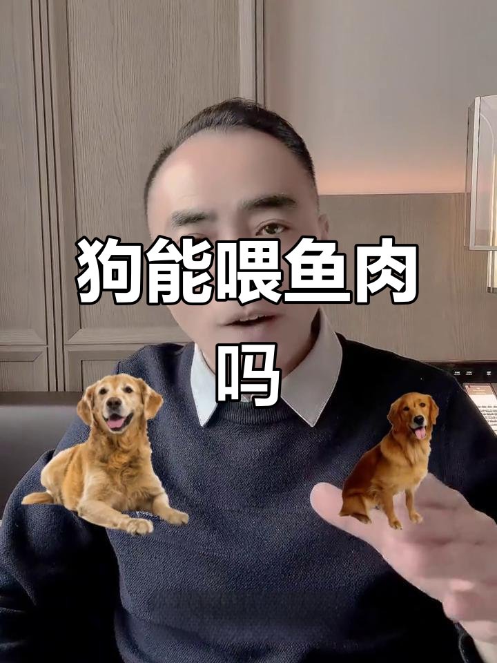 狗狗能吃鱼吗?这些注意事项你必须知道
