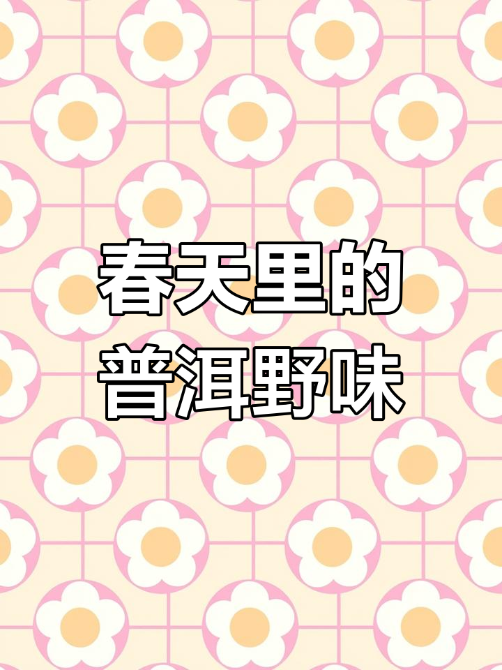 普洱春季山花盛开,野菜美味等你来尝