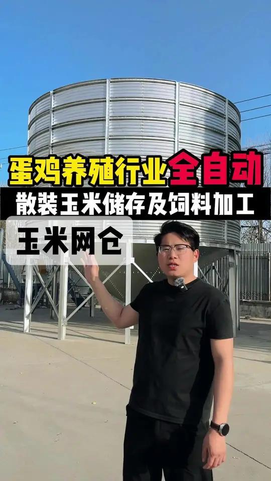 蛋鸡养殖行业全自动散装玉米储存及饲料加工,玉米网仓