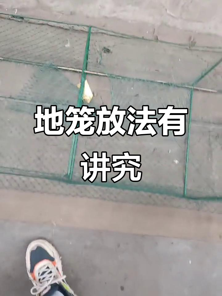 放地笼的技巧:接口朝下才能捕到更多龙虾