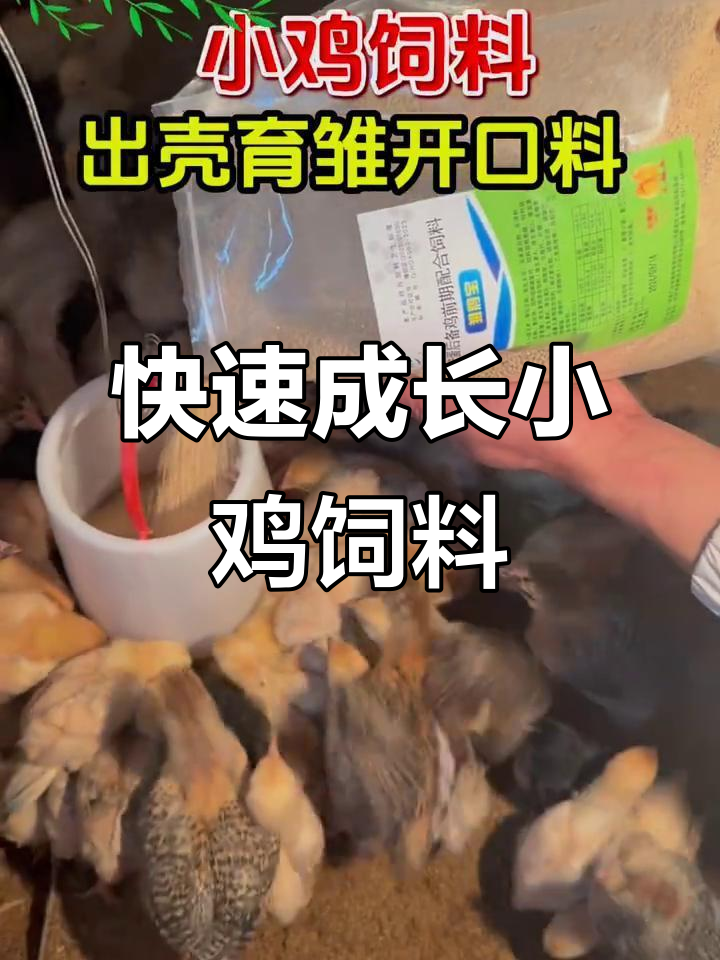 小鸡小鸭刚出生就能吃的高蛋白开口料,营养全面长得快